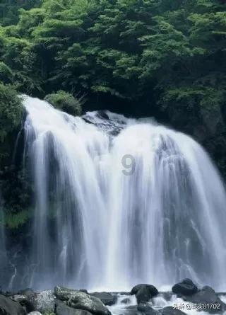 光绪元宝- 明星问题解答 咨询平台
